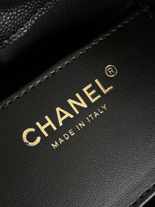 Chanel 25 Mini Handbag